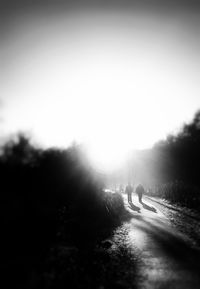 Rear view of man walking amidst trees against sky