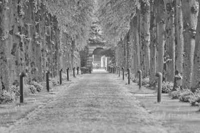 Panoramic view of cemetery