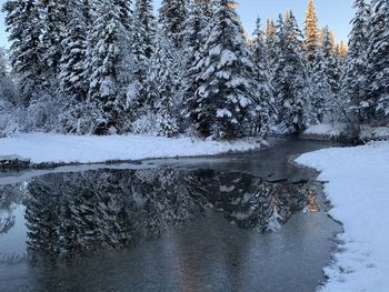 Scenic view of frozen lake in forest during winter