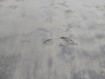 High angle view of footprints on sand