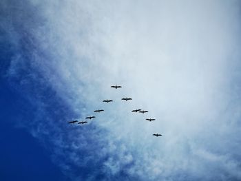 Low angle view of birds flying in sky