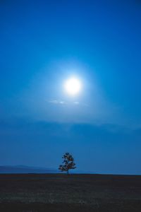 Scenic view of field against blue sky