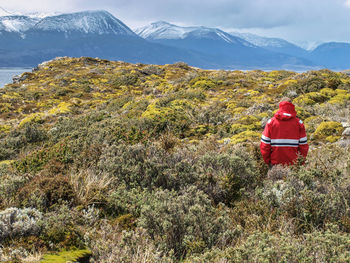 Rear view of hiker on green landscape against mountains