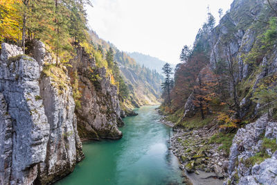 Scenic view of river amidst trees against sky