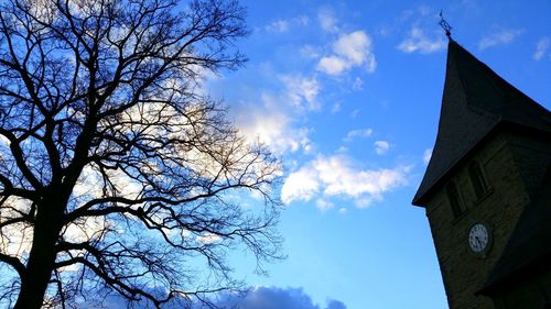 Low angle view of bare trees against sky