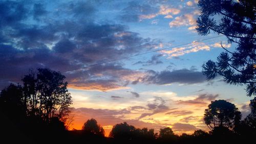 Low angle view of silhouette trees against sky at sunset