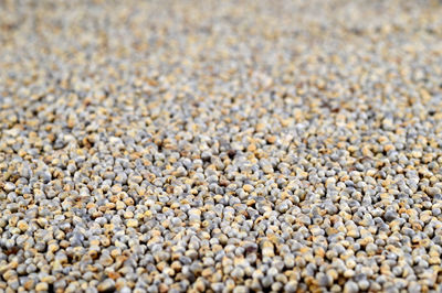Full frame shot of pebbles