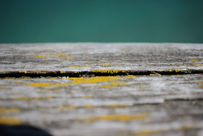 Close-up of weathered wood on table