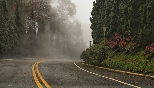 Road by trees against sky