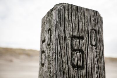 Close-up of wooden post against tree trunk