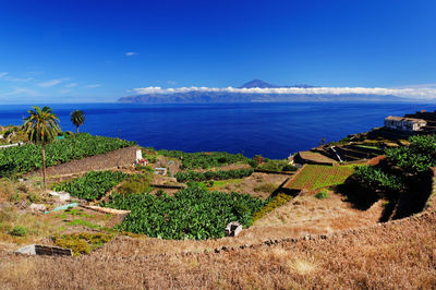 High angle view of agricultural field against sea