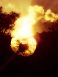 Low angle view of silhouette dandelion against bright sky