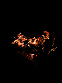 Close-up of bonfire at night