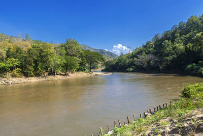 Scenic view of river by trees against blue sky