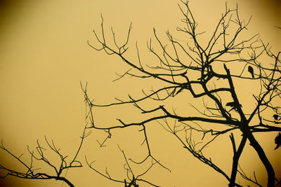 Low angle view of bare trees against clear sky