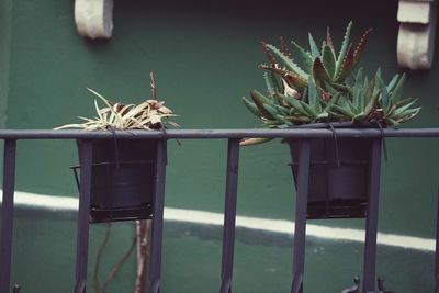 Flower pot in the balcony