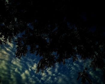 Low angle view of silhouette trees against sky