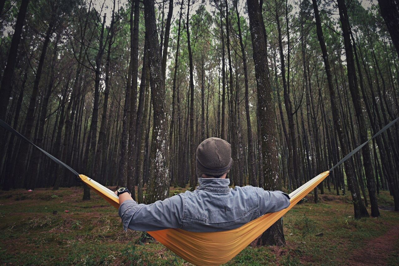 REAR VIEW OF MAN CLIMBING ON TREE TRUNK IN FOREST