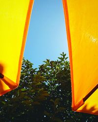 Low angle view of yellow plants against clear sky