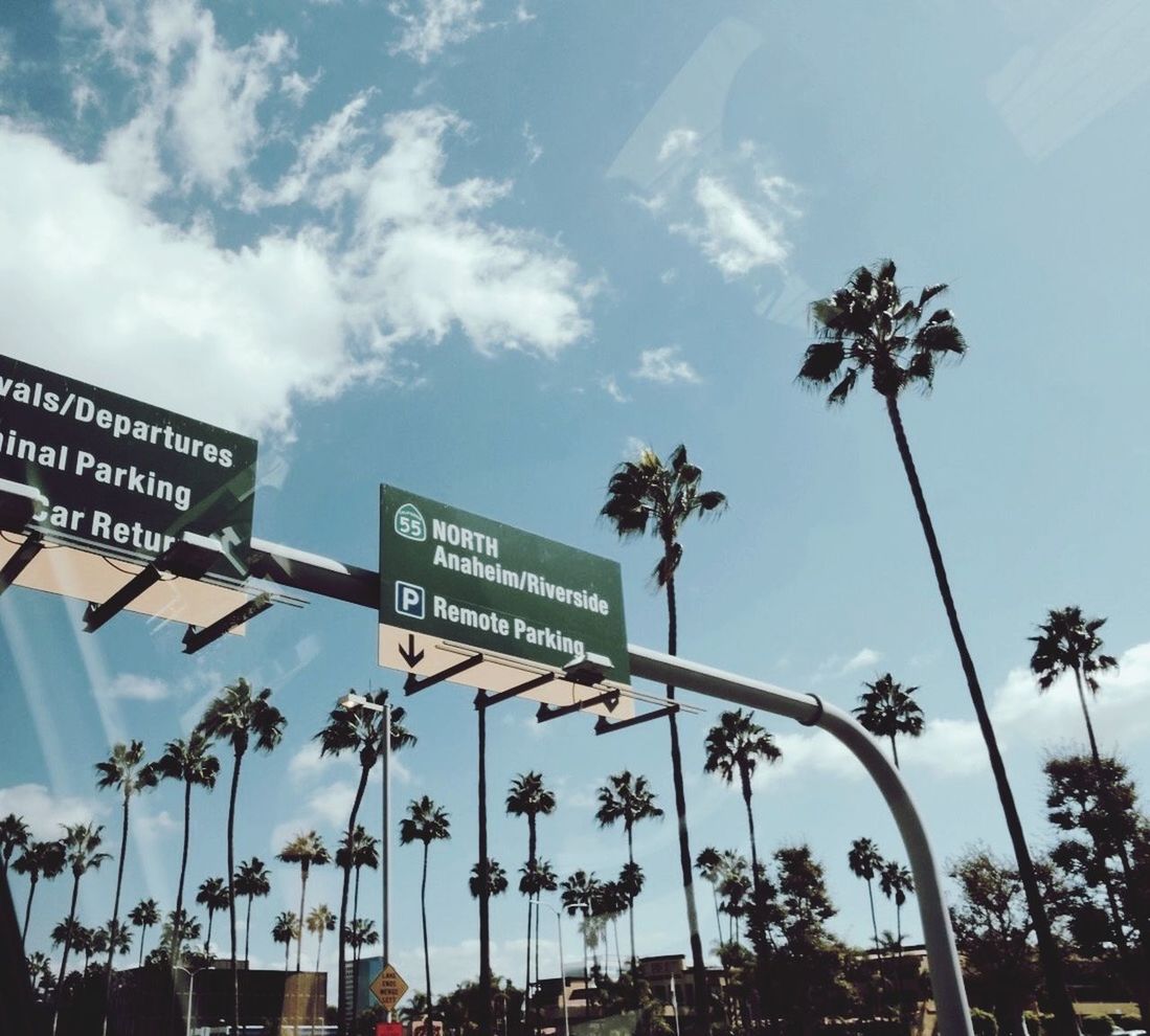 low angle view, text, sky, western script, communication, tree, palm tree, information sign, cloud - sky, built structure, information, sign, non-western script, capital letter, cloud, outdoors, day, pole, no people, guidance