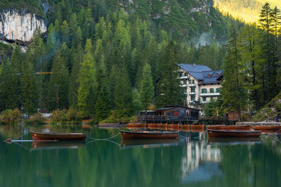 Houses by lake against trees and plants