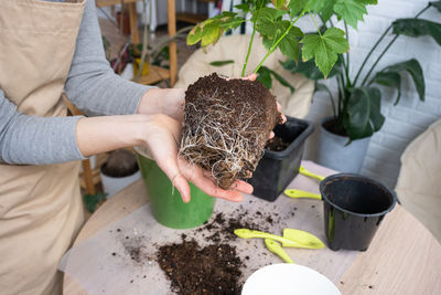 Midsection of woman holding potted plant