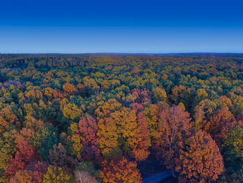 High angle view of forest against clear blue sky