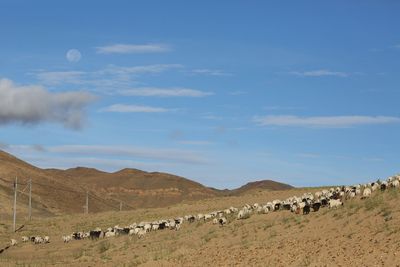 Panoramic view of landscape against sky