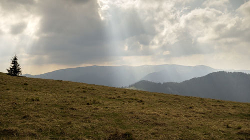 Scenic view of field against sky