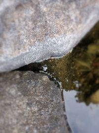 Close-up of water