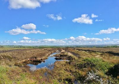 Scenic view of field against blue sky