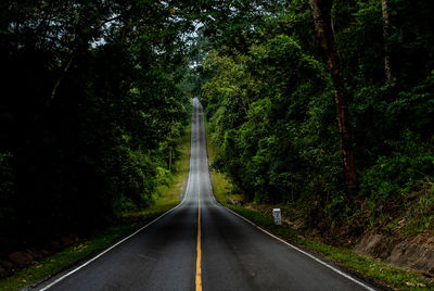 Road amidst trees in forest