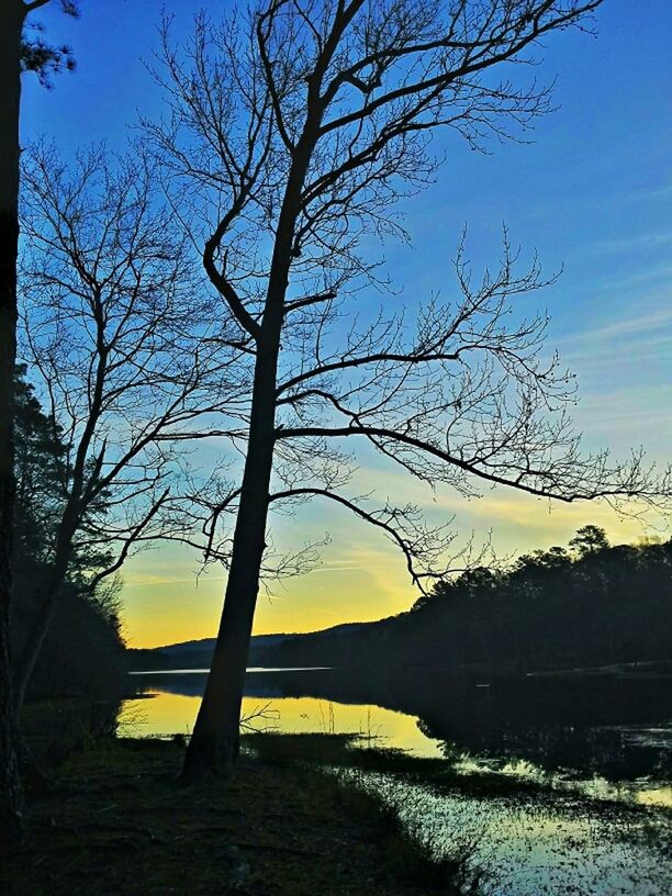 water, tranquility, tranquil scene, bare tree, sunset, scenics, silhouette, beauty in nature, sky, tree, branch, nature, lake, idyllic, reflection, river, blue, non-urban scene, outdoors, calm