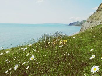 Scenic view of sea against clear sky