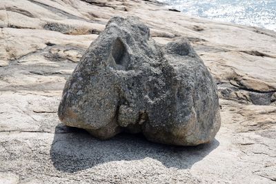 Close-up of statue on rock