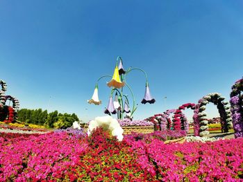 Flowers growing on tree against clear sky