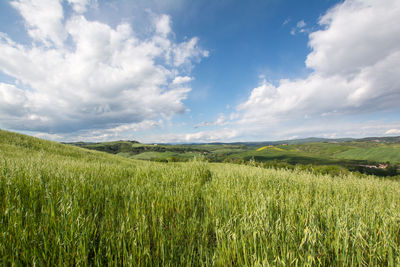 Scenic view of field against cloudy sky