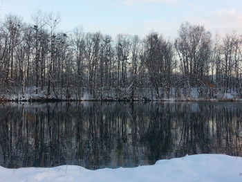 Bare trees on snow covered field