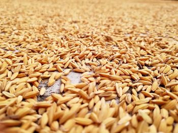 Close-up of grains