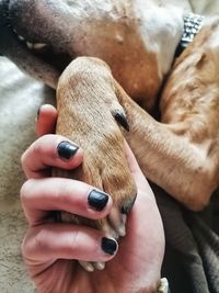 Close-up of woman holding hands