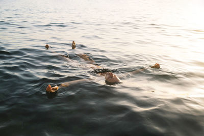 Woman floating on sea at sunset