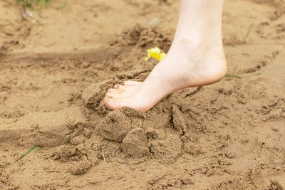 Low section of person legs on sand