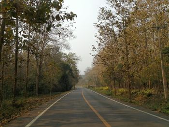 Road amidst trees against clear sky
