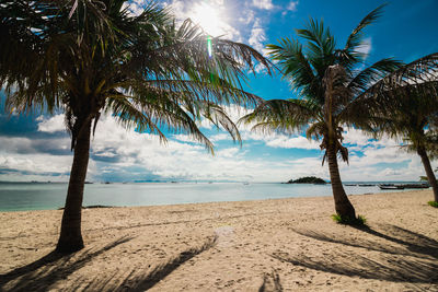 Palm trees on beach against sky