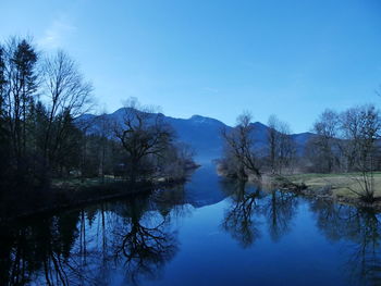 Reflection of trees in lake