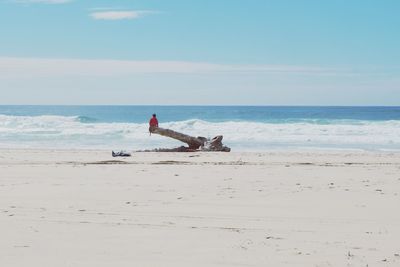 Scenic view of sea against sky during summer