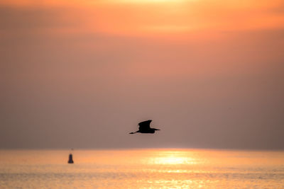 Silhouette bird flying over sea against orange sky