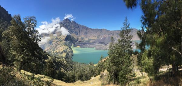 Panoramic view of trees and mountain against sky