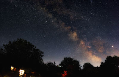 Low angle view of trees against sky at night