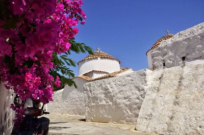 Low angle view of flowers against built structure